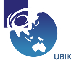 UBIK LTD